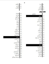 Load image into Gallery viewer, SPSC Subject Specialist Urdu Guide Package